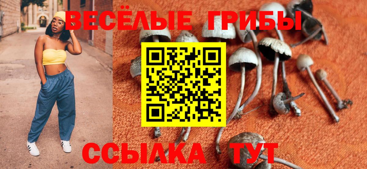 Псилоцибиновые грибы Psilocybe  Вход с VPN  Чистополь 